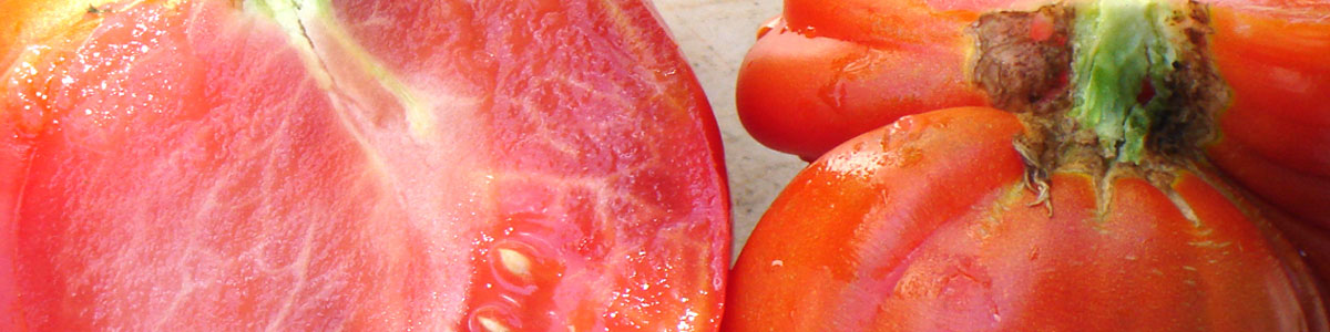 Tomato